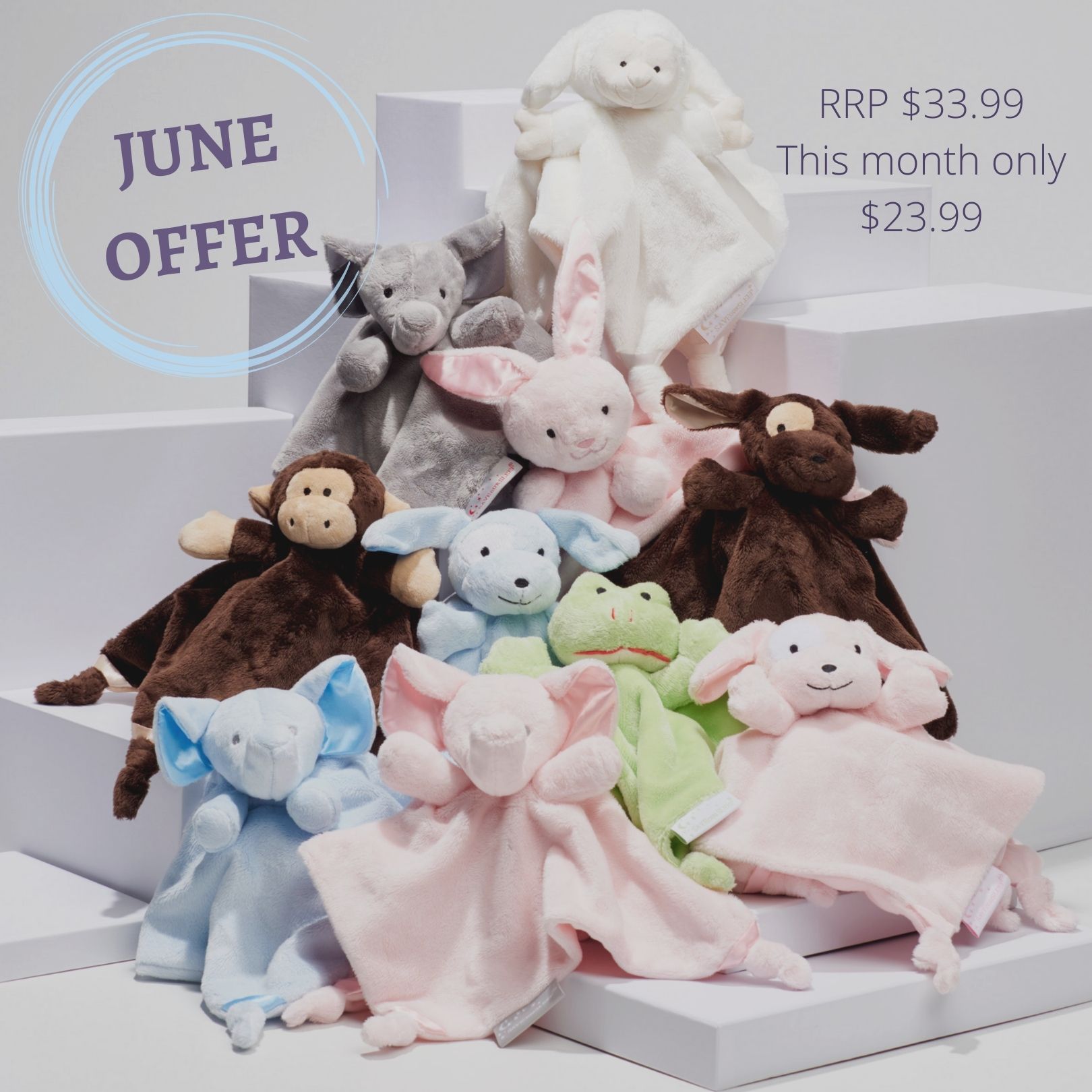 June Offer -  All Comforters just $23.99 each